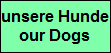 unsere Hunde
our Dogs