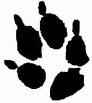 images1